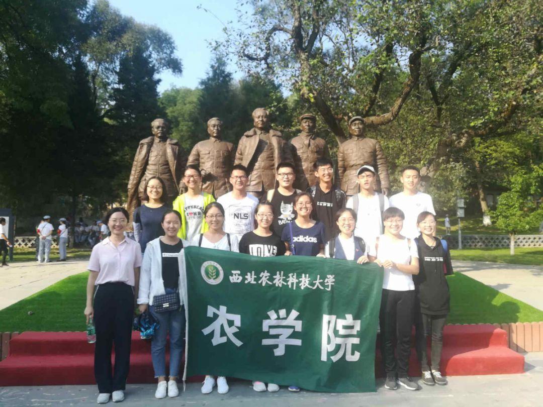 探讨交流,尽在美味的鸡蛋羹是怎么做的?